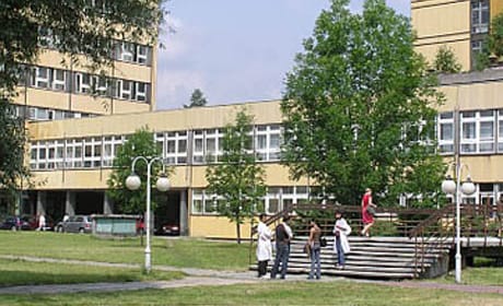 Medical University of Silesia