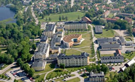 University of Gavle