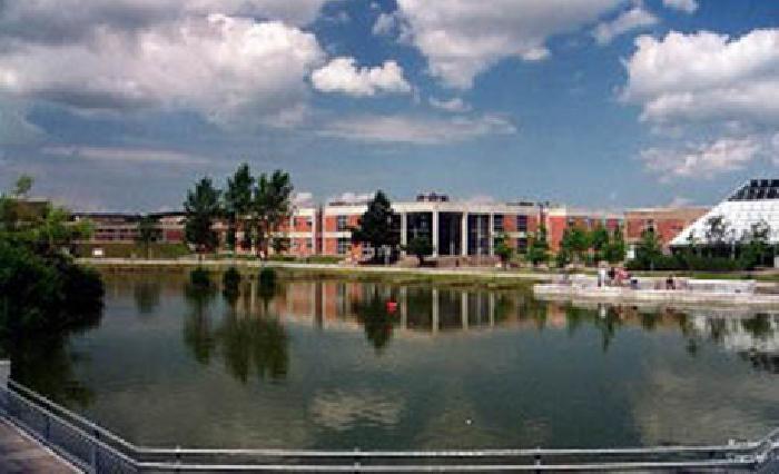 Aalborg University